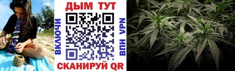 Канабис Amnesia  KRAKEN зеркало  Сегежа  купить  